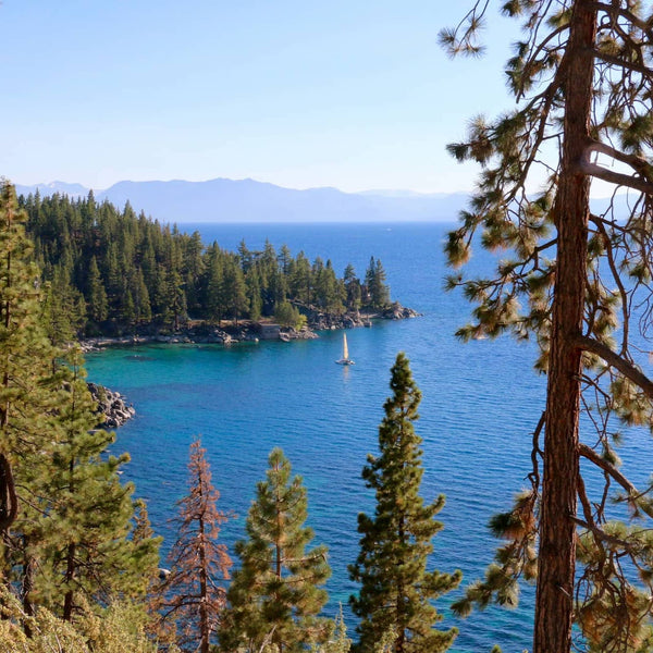 Your Ultimate Guide to Hiking and Camping in Tahoe National Forest