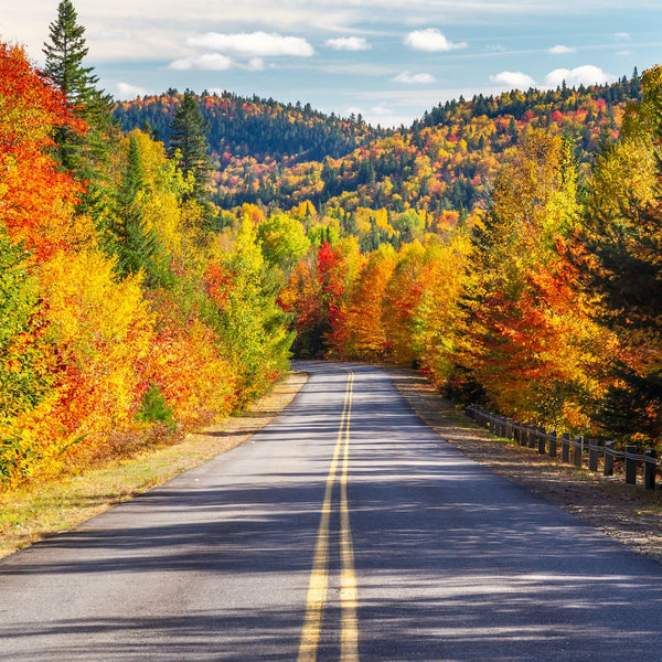 Explore The Best of The East Coast with This Northeast Road Trip Guide