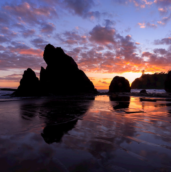 4 Things To Do in Olympic National Park in One Trip